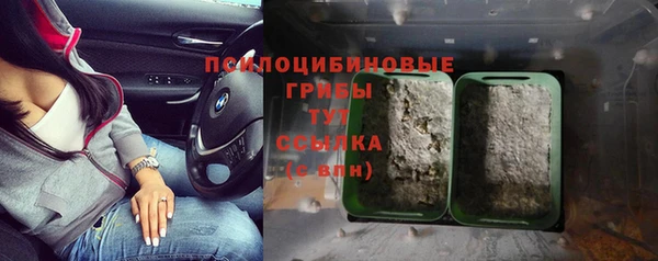 дмт Гусиноозёрск