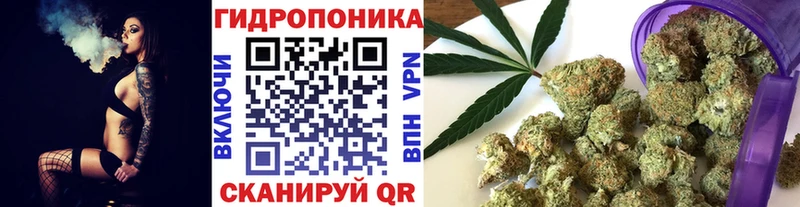 blacksprut как зайти  Шатура  МАРИХУАНА марихуана 